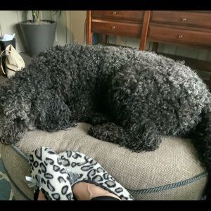 Meet your Posher, Ann